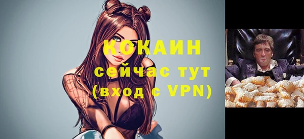 прущие грибы Балахна