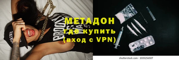прущие грибы Балахна