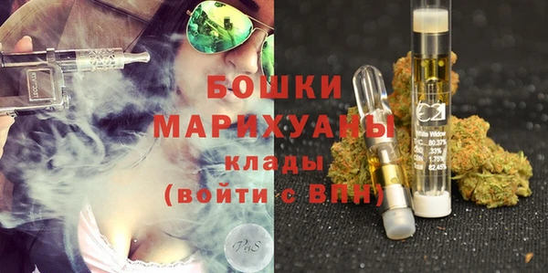 прущие грибы Балахна