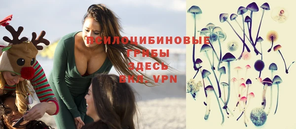 прущие грибы Балахна