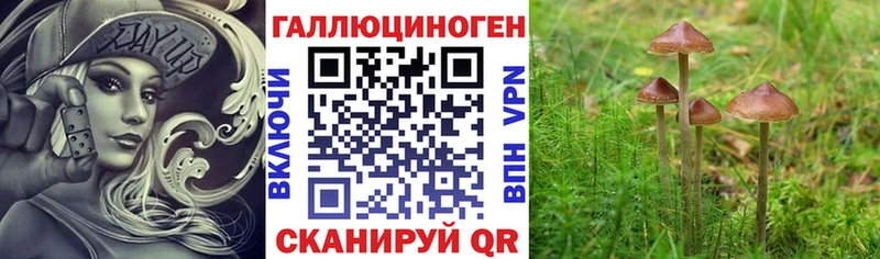 продажа наркотиков  Николаевск-на-Амуре  Галлюциногенные грибы ЛСД 